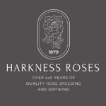 Harkness Roses Discount Code - Up To 10% OF